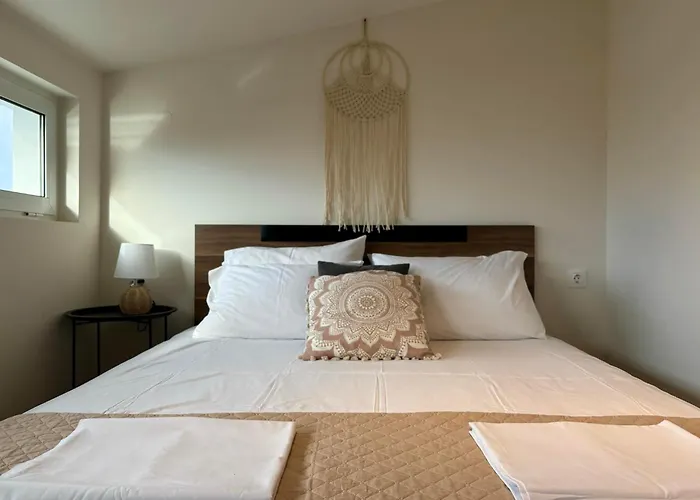 Maya N.moudania 尼亚·蒙达尼亚